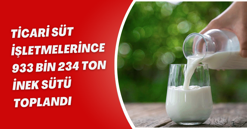 Ticari süt işletmelerince 933 bin 234 ton inek sütü toplandı