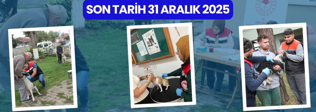 Son tarih 31 Aralık 2025
