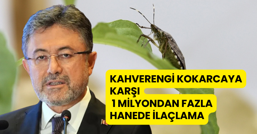 Bakan Yumaklı: Kahverengi kokarcaya karşı 1 milyondan fazla hanede ilaçlama yaptık