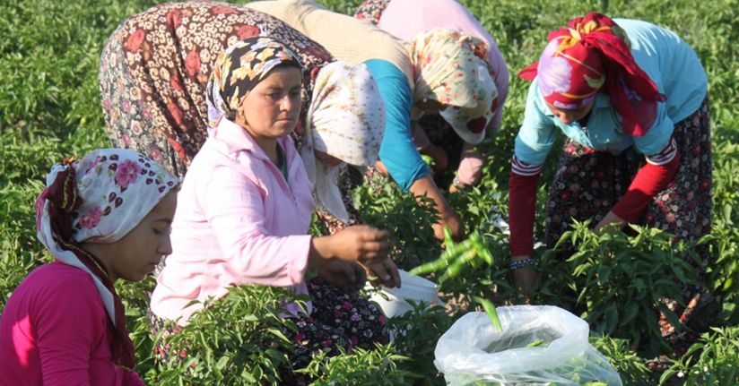 Kadın çiftçilerimiz kırsalın umudu, tarımın güvencesidir