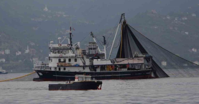 Hamside tehlike çanları çalıyor