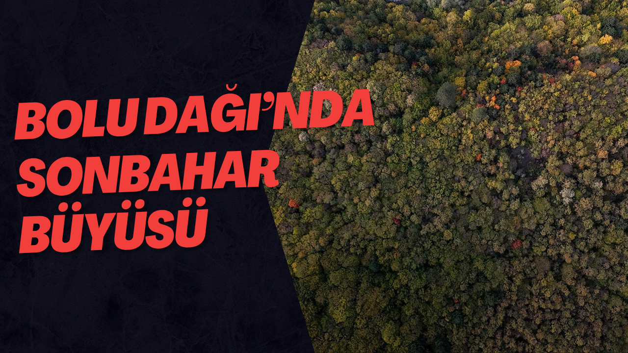 Bolu Dağı’nda Sonbahar Büyüsü