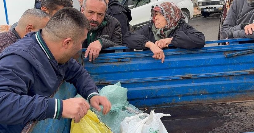 Alaplı’da kuraklık ve gal arısı istilası ünlü kuzu kestanesini de vurdu