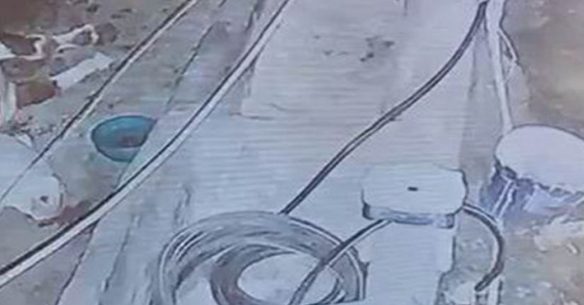 Diyarbakır’da yıldırım hayvan çiftliğine isabet etti: 3 inek telef oldu