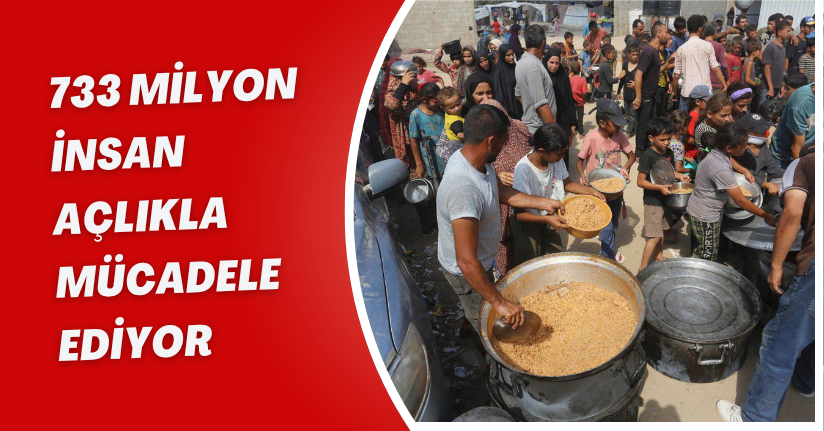 733 milyon insan açlıkla mücadele ediyor