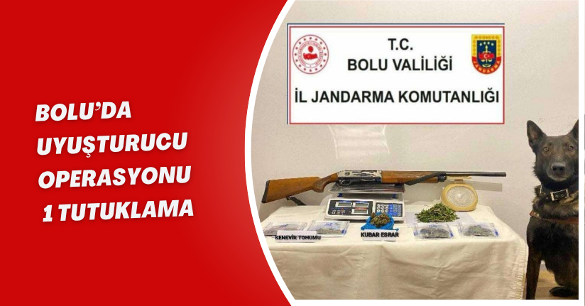 Bolu’da uyuşturucu operasyonu: 1 tutuklama