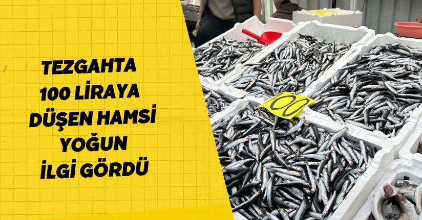 Tezgahta 100 liraya düşen hamsi yoğun ilgi gördü