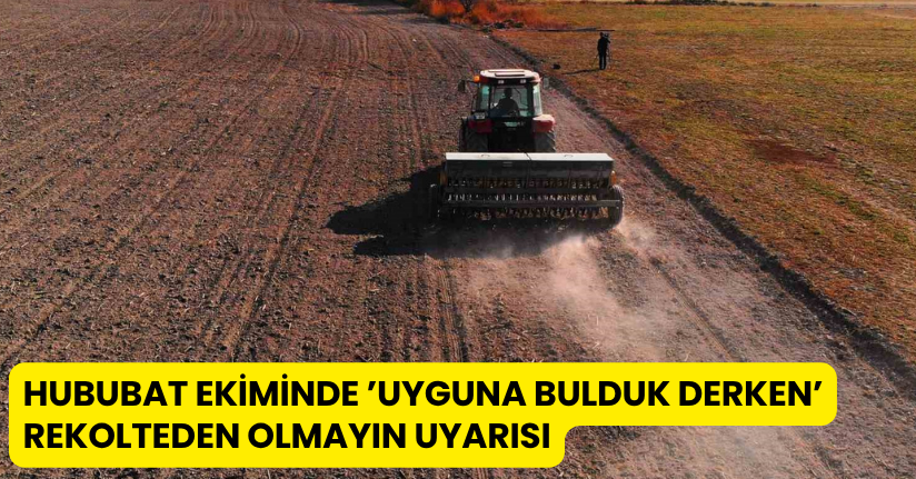 Hububat ekiminde ’uyguna bulduk derken’ rekolteden olmayın uyarısı
