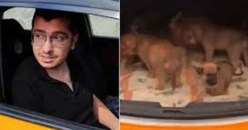 Sahiplendiği köpeklere, cinsel istismarda bulunup öldürdüğü iddiasıyla yargılanan sanık 9 yıl 9 ay hapis cezasına çarptırıldı