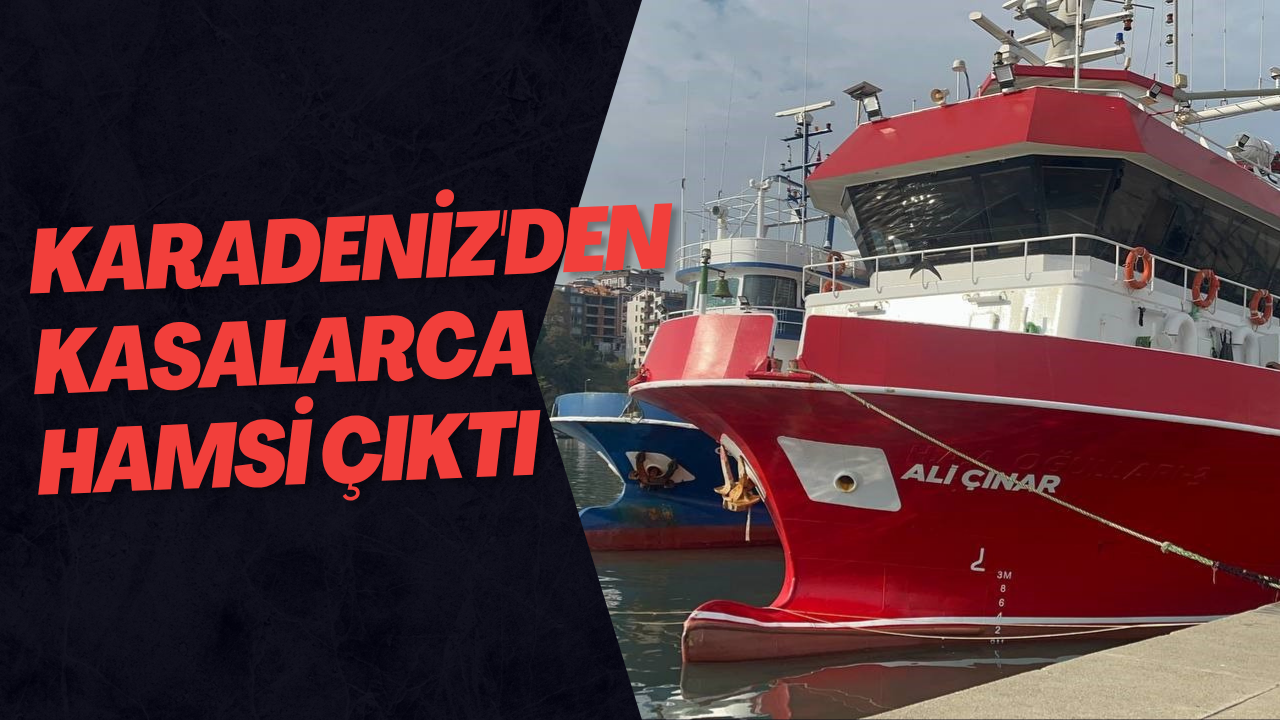 Karadeniz'den Kasalarca Hamsi Çıktı