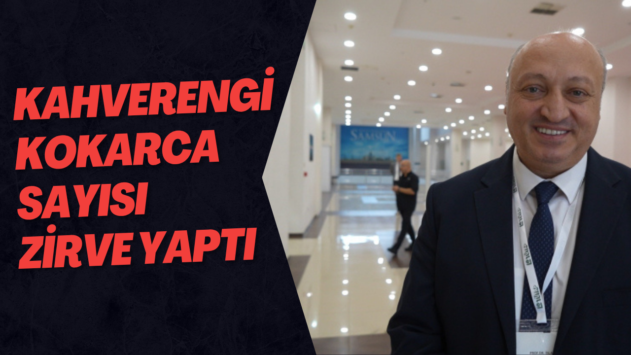 Kahverengi Kokarca Sayısı Zirve Yaptı