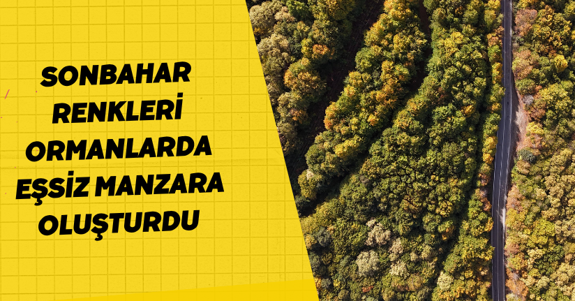 Sonbahar renkleri ormanlarda eşsiz manzara oluşturdu 