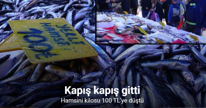 Hamsini kilosu 300 TL’den 100 TL’ye düştü: Kapış kapış gitti