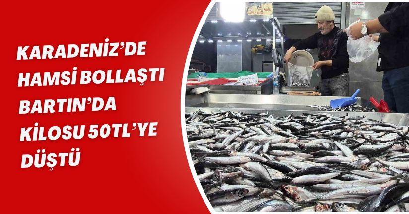 Karadeniz’de hamsi bollaştı, Bartın’da kilosu 50TL’ye düştü