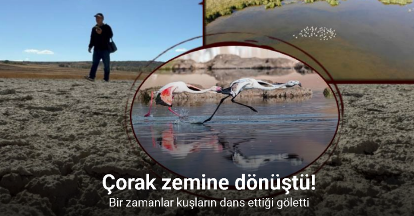 Kuşların dans ettiği Uylubağı göleti kuraklık nedeniyle çorak zemine dönüştü