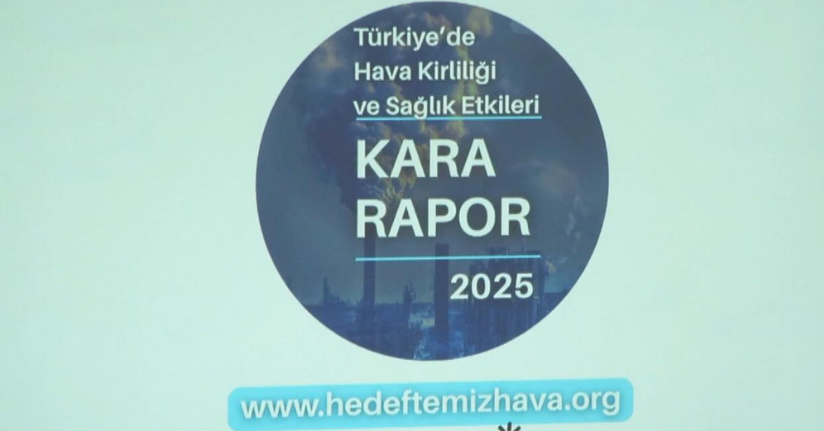 'İstanbul'un soluduğu hava Dünya Sağlık Örgütü'nün önerdiğinin 2,5 katı daha kirli'