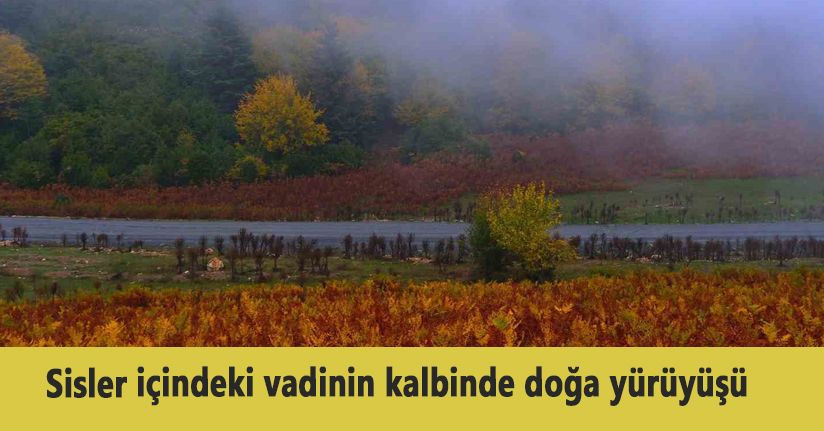 Sisler içindeki vadinin kalbinde doğa yürüyüşü