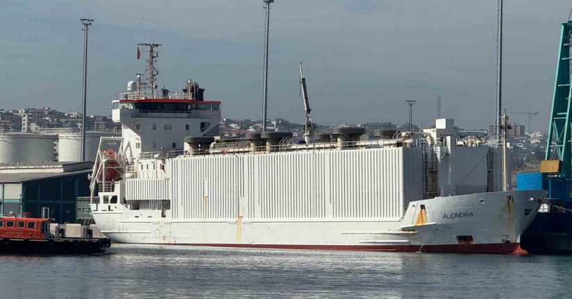 Bandırma ahır kokulu günlerine geri döndü
