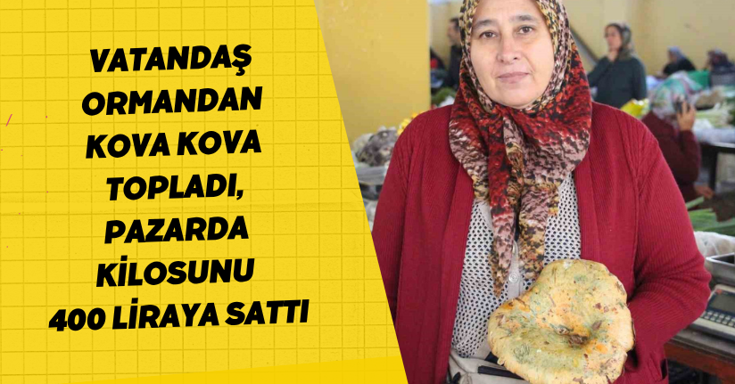 Vatandaş ormandan kova kova topladı, pazarda kilosunu 400 liraya sattı