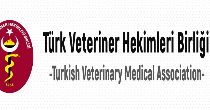 TVHB: 