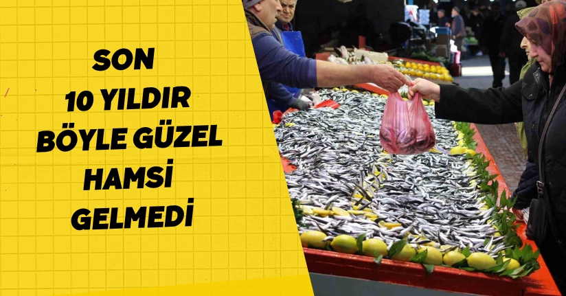 Son 10 yıldır böyle güzel hamsi gelmedi