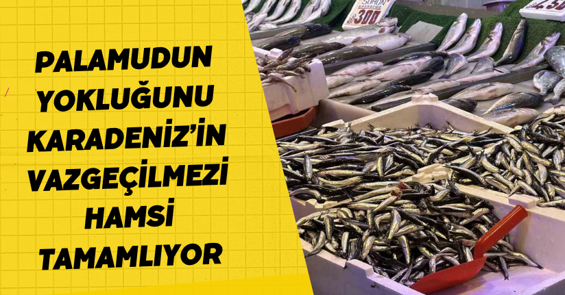 Palamudun yokluğunu Karadeniz’in vazgeçilmezi hamsi tamamlıyor