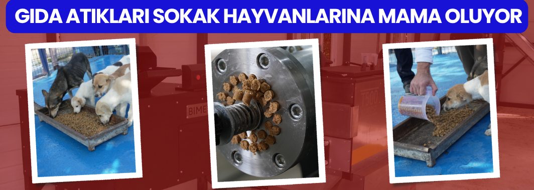 Düzce Belediyesi Ve İl Özel İdaresi’nden Örnek İş Birliği