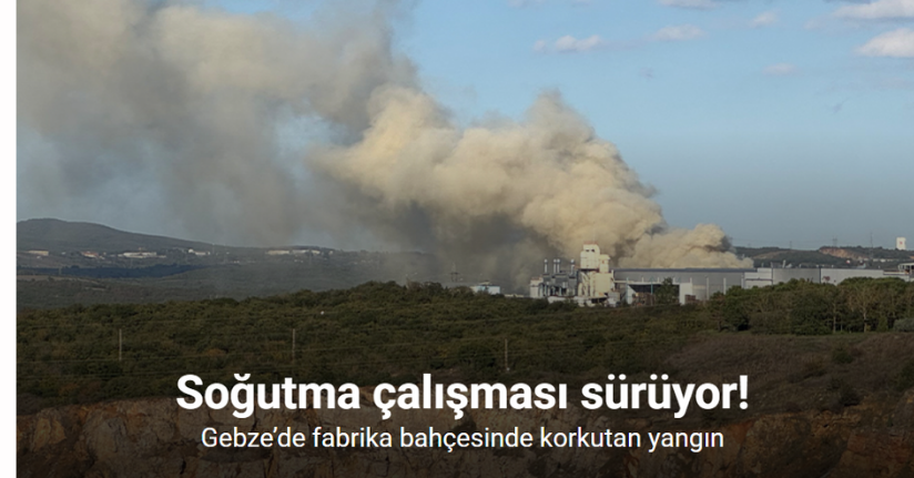 Gebze’de fabrika bahçesinde korkutan yangınGebze’de fabrika bahçesinde korkutan yangın
