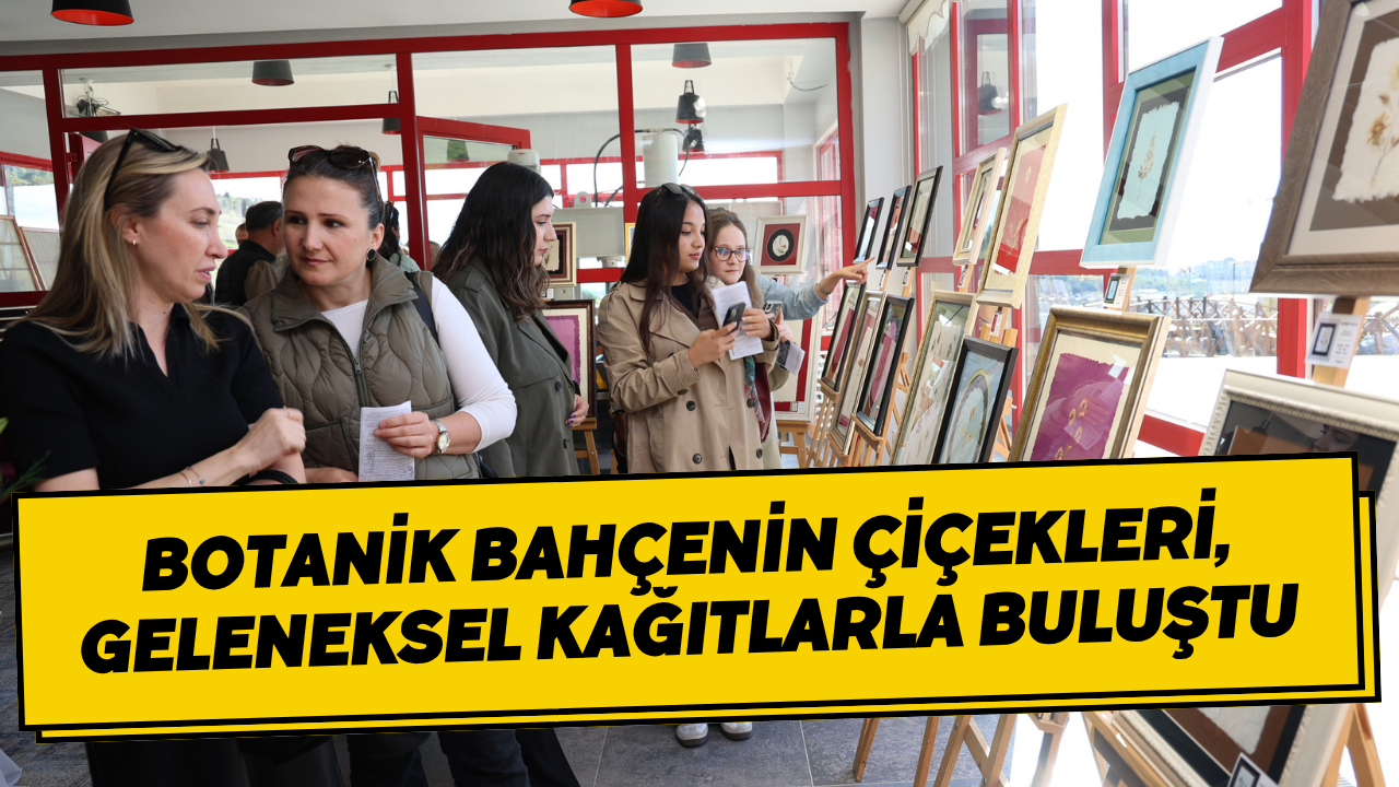 Botanik Bahçenin Çiçekleri, Geleneksel Kağıtlarla Buluştu