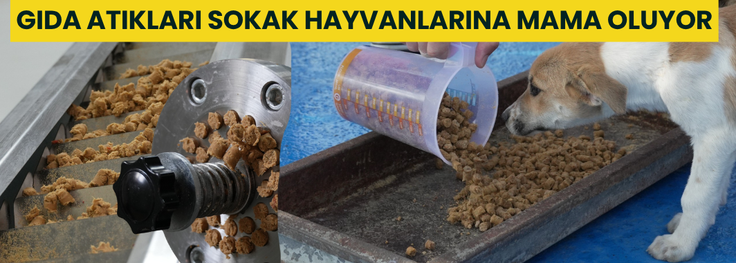 Düzce Belediyesi Ve İl Özel İdaresi’nden Örnek İş Birliği