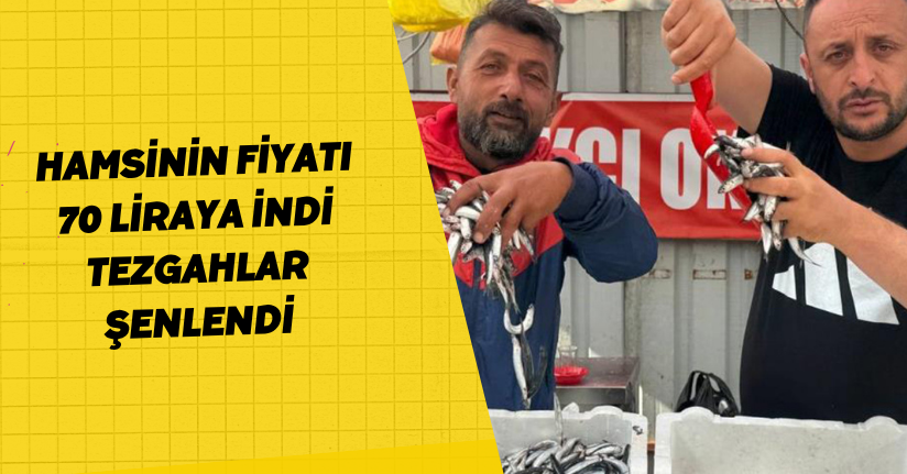 Hamsinin fiyatı 70 liraya indi, tezgahlar şenlendi
