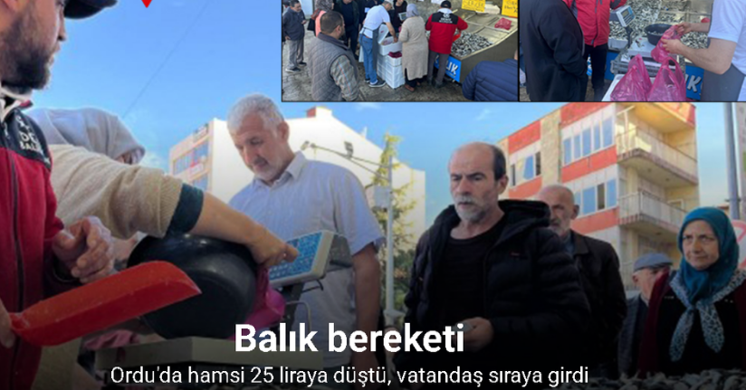 Ordu’da hamsi 25 liraya düştü, vatandaş sıraya girdi