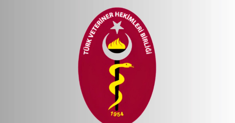 TVHB’den veteriner hekimlerin kişisel verilerinin çalındığı iddialarına yalanlama
