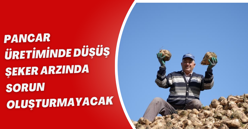 Pancar üretiminde düşüş şeker arzında sorun oluşturmayacak