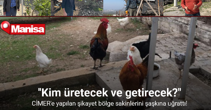 CİMER’e yapılan ’İnek ve tavuklar serbest dolaşıyor, salgın hastalık riski var’ şikayeti bölge sakinlerini şaşkına uğrattı