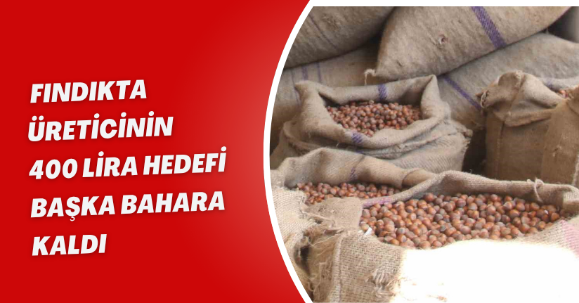 Fındıkta üreticinin 400 lira hedefi başka bahara kaldı
