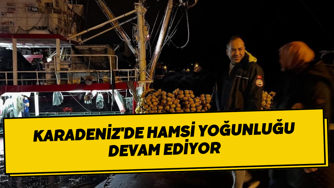 Karadeniz'de Hamsi Yoğunluğu Devam Ediyor