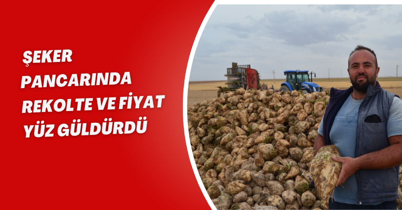Şeker pancarında rekolte ve fiyat yüz güldürdü