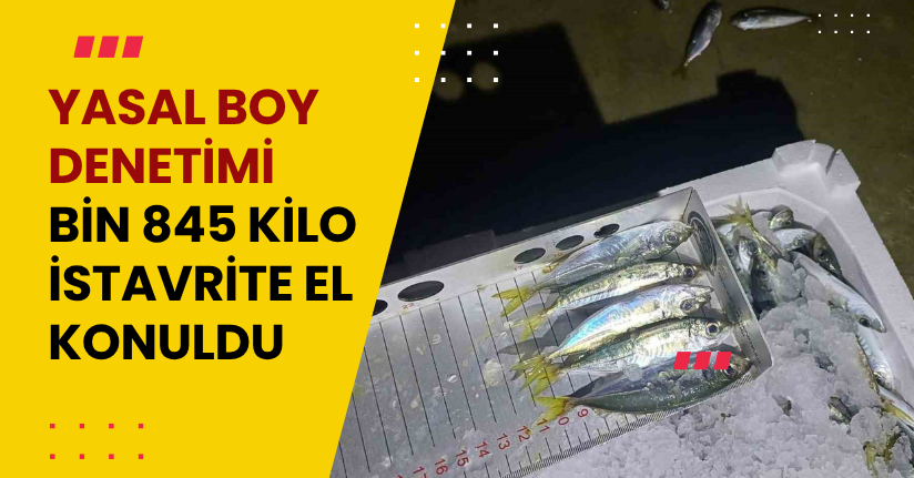 Yasal boy denetimi: Bin 845 kilo istavrite el konuldu