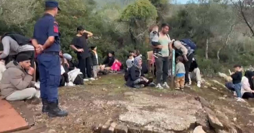 Milas’ta 74 kaçak göçmen yakalandı
