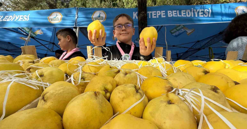 Kalitesiyle ünlü Eşme ayvası, festivalle görücüye çıktı
