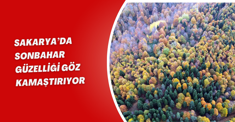 Sakarya’da sonbahar güzelliği göz kamaştırıyor