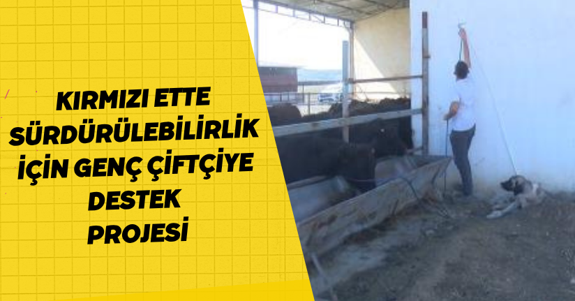 Kırmızı ette sürdürülebilirlik için genç çiftçiye destek projesi