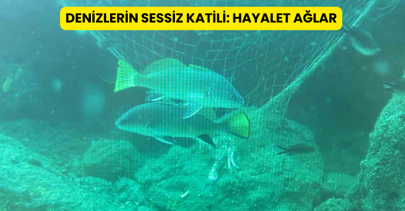 Denizlerin sessiz katili: Hayalet ağlar