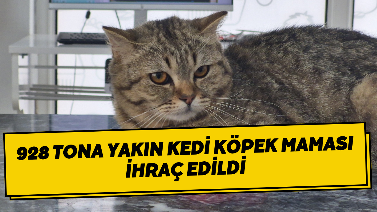 928 Tona Yakın Kedi Köpek Maması İhraç Edildi