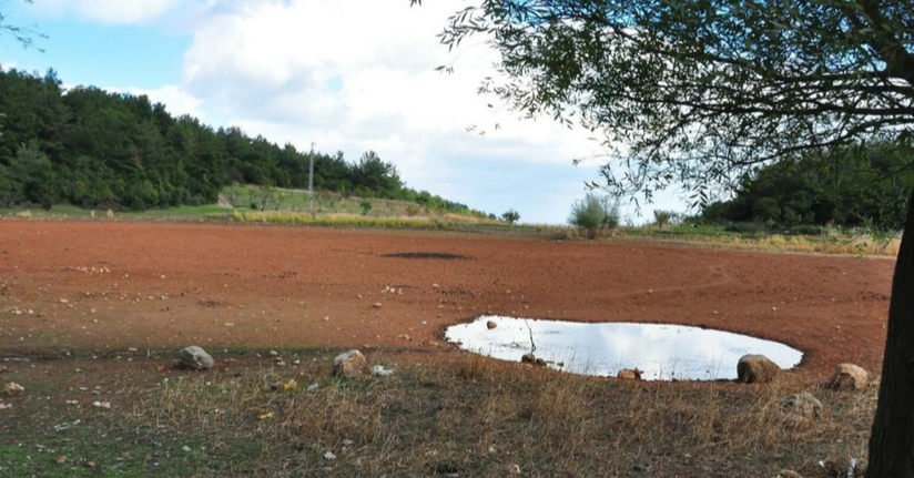 Geçen yıl tankerlerle taşınan su ile kurtarılan Sülüklü Göl, bu yıl tamamen kurudu