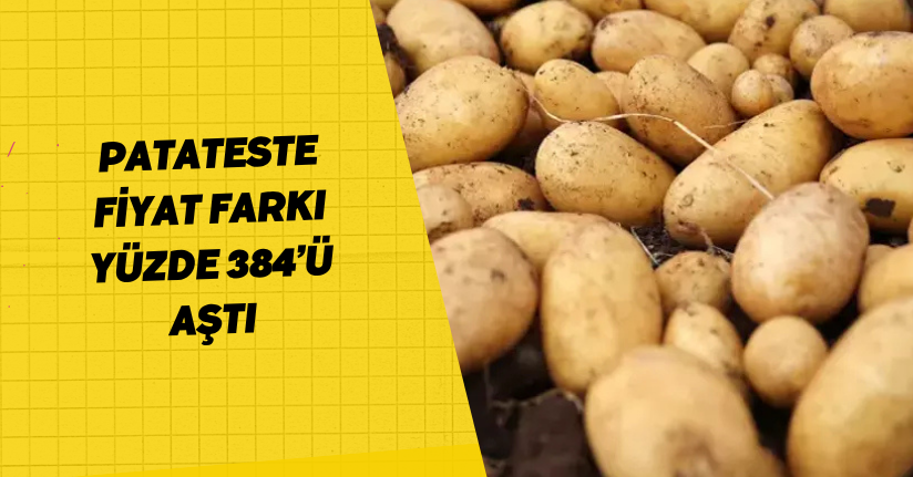 Patateste Fiyat Farkı Yüzde 384’ü Aştı