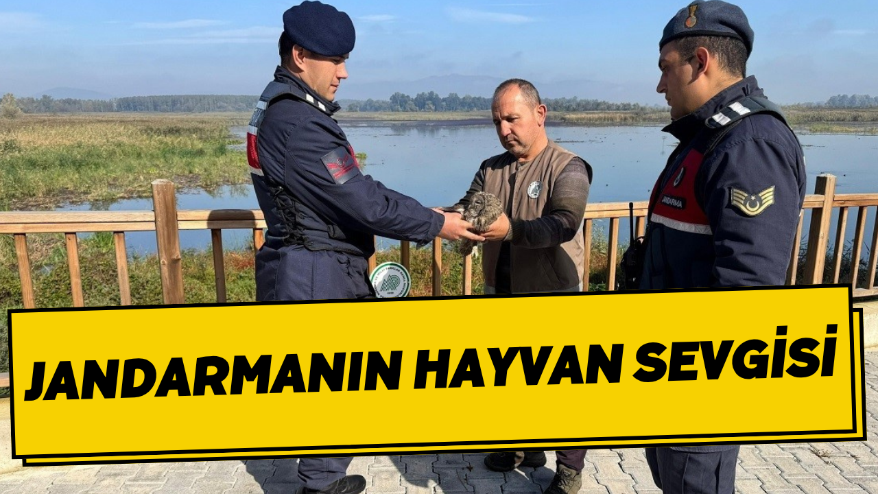 Jandarmanın Hayvan Sevgisi