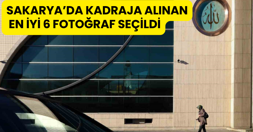 Sakarya’da kadraja alınan en iyi 6 fotoğraf seçildi