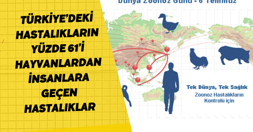Türkiye’deki hastalıkların yüzde 61’i hayvanlardan insanlara geçen hastalıklar